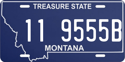 MT license plate 119555B