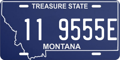 MT license plate 119555E