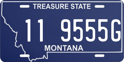 MT license plate 119555G