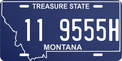 MT license plate 119555H