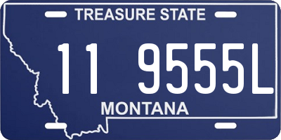 MT license plate 119555L