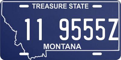 MT license plate 119555Z