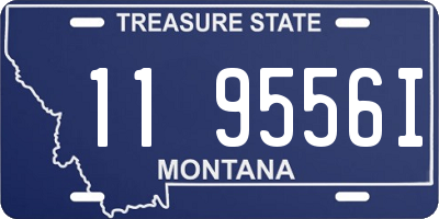 MT license plate 119556I