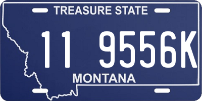 MT license plate 119556K