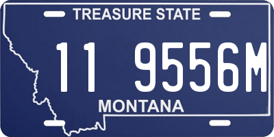 MT license plate 119556M