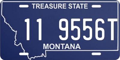 MT license plate 119556T