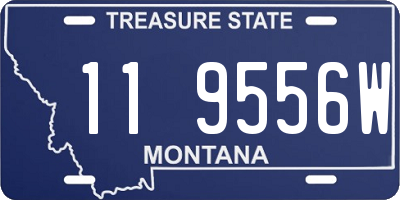 MT license plate 119556W