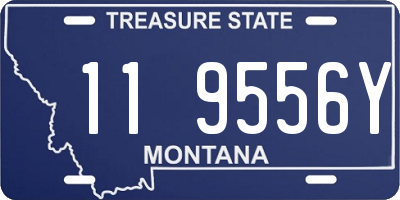 MT license plate 119556Y