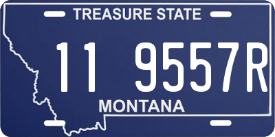 MT license plate 119557R