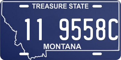 MT license plate 119558C
