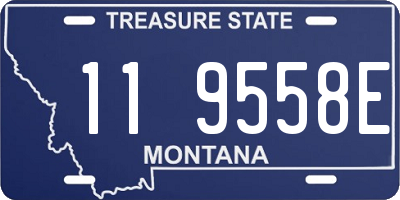 MT license plate 119558E