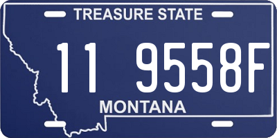 MT license plate 119558F