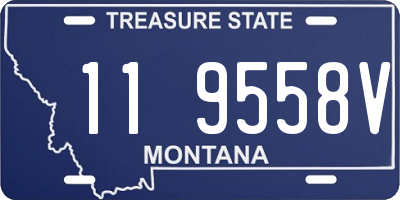 MT license plate 119558V