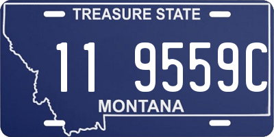 MT license plate 119559C