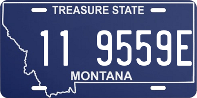 MT license plate 119559E