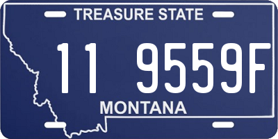 MT license plate 119559F