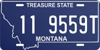 MT license plate 119559T