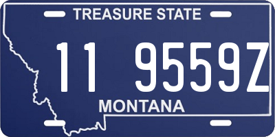 MT license plate 119559Z