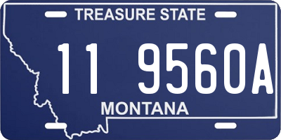 MT license plate 119560A