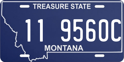 MT license plate 119560C