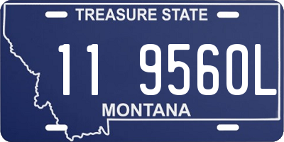 MT license plate 119560L