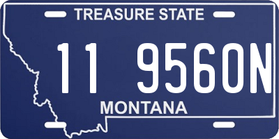 MT license plate 119560N