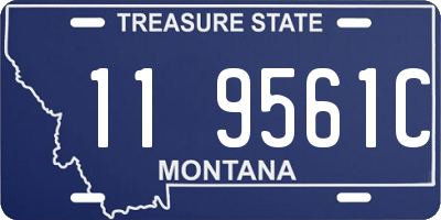 MT license plate 119561C