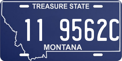 MT license plate 119562C