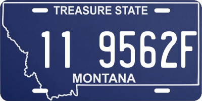 MT license plate 119562F