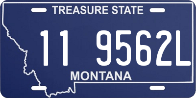 MT license plate 119562L