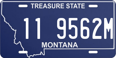 MT license plate 119562M