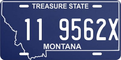 MT license plate 119562X
