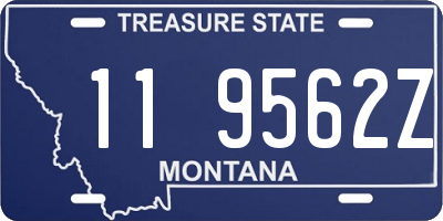 MT license plate 119562Z