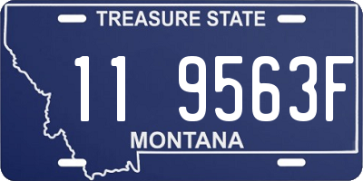 MT license plate 119563F