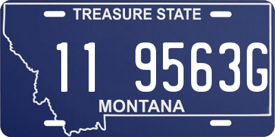 MT license plate 119563G