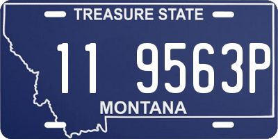 MT license plate 119563P