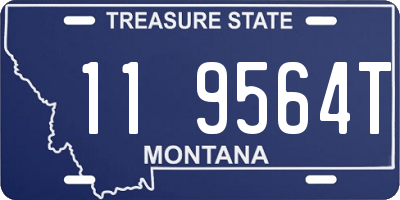 MT license plate 119564T