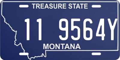 MT license plate 119564Y