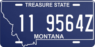 MT license plate 119564Z