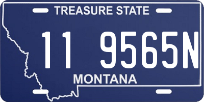 MT license plate 119565N