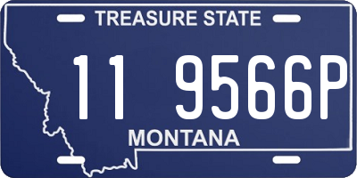 MT license plate 119566P