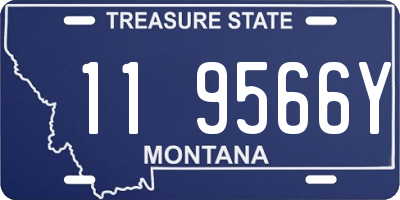 MT license plate 119566Y