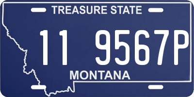 MT license plate 119567P
