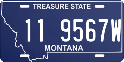 MT license plate 119567W