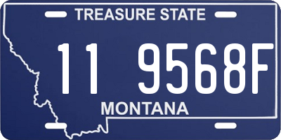 MT license plate 119568F