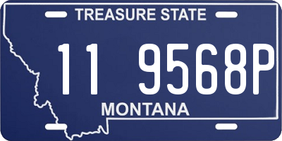 MT license plate 119568P