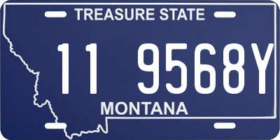 MT license plate 119568Y