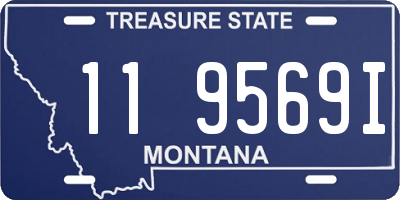 MT license plate 119569I