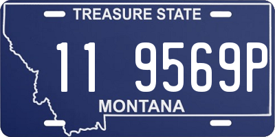 MT license plate 119569P