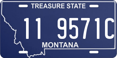 MT license plate 119571C